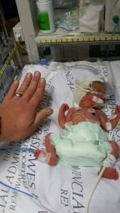 10363871_10154990118425179_746521708157151715_n