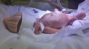 10438636_10154370136510179_5480749855529537531_n