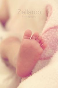 10504768_551016485010452_7331068765487810502_o