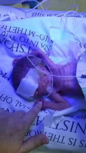 10806378_10154990117985179_7081866913763812285_n