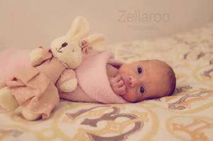 10494840_551016785010422_2313393402200021000_n