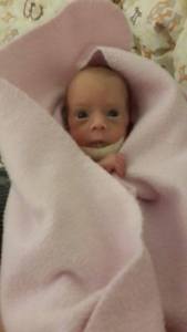 11707453_10156065596820179_3766275713355354716_n