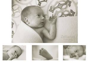 10333334_551275801651187_3560183864693799768_o