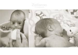 10448567_551275948317839_3332757183295538324_o