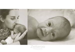 10560553_551276108317823_7433871504376470306_o