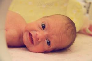 10408791_551016535010447_1316324493566524017_n