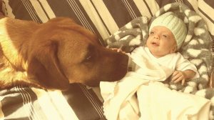 10628057_10154721237390179_8358977863743227484_n