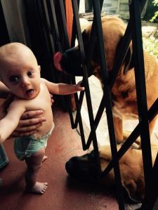 10940422_10155335663195179_4458823571460615052_n