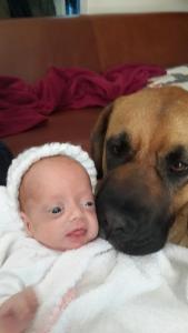 1601244_10154689414155179_4235302444682778762_n