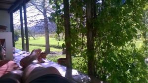 10501675_10154773956045179_471209787497835958_n