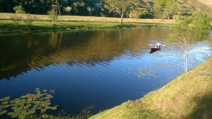 10689893_10154773956920179_6125022140806289696_n