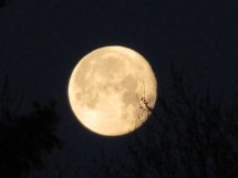 libra-full-moon-331-20110413-57