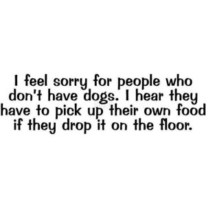 10590478_10152620300511322_5815086148215762660_n